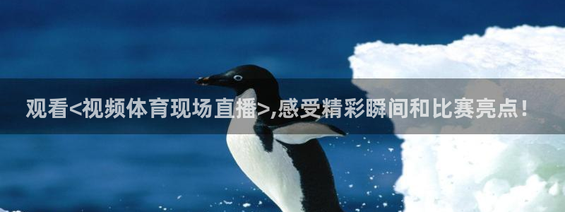 观看<视频体育现场直播>,感受精彩瞬间和比赛亮点！