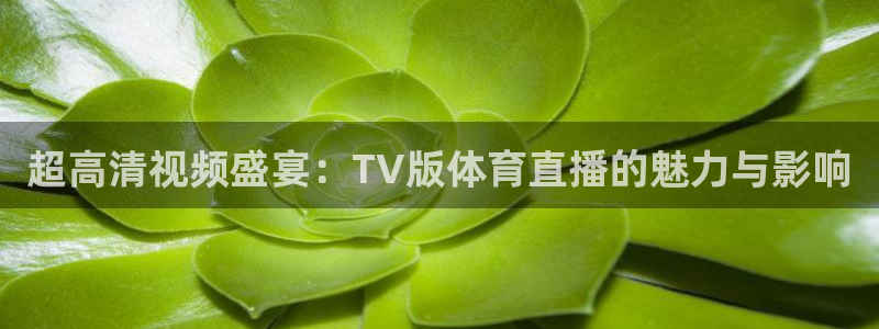 超高清视频盛宴：TV版体育直播的魅力与影响