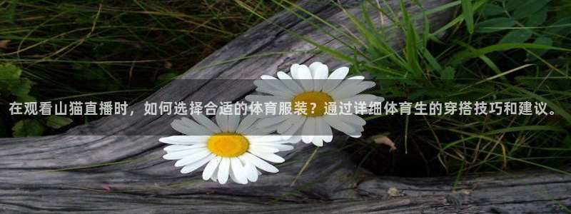 在观看山猫直播时，如何选择合适的体育服装？通过详细体育生的穿搭技巧和建议。
