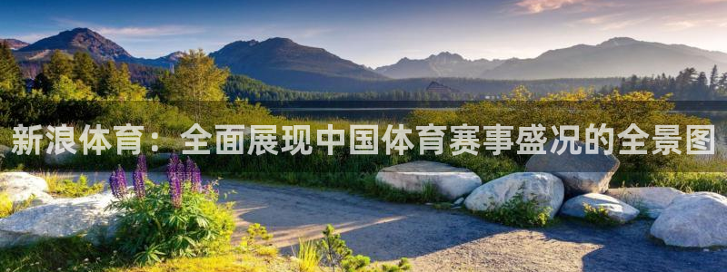 新浪体育：全面展现中国体育赛事盛况的全景图