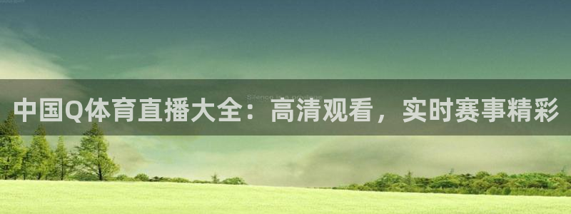 中国Q体育直播大全：高清观看，实时赛事精彩