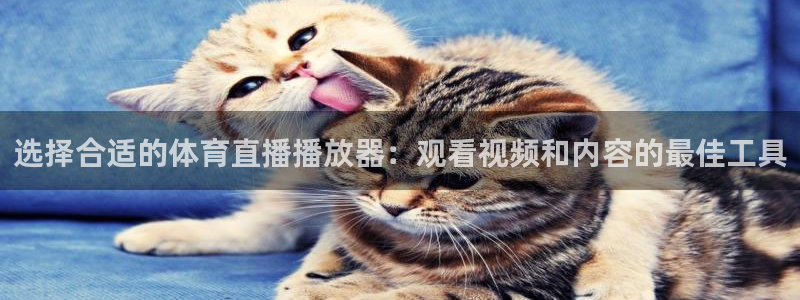 选择合适的体育直播播放器：观看视频和内容的最佳工具