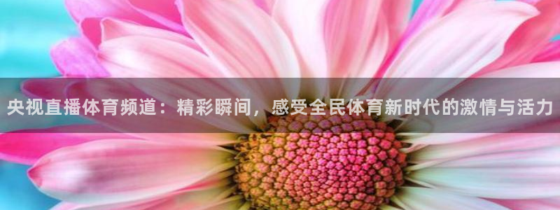 央视直播体育频道：精彩瞬间，感受全民体育新时代的激情与活力