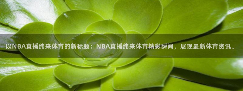 以NBA直播纬来体育的新标题：NBA直播纬来体育精彩瞬间，展现最新体育资讯。