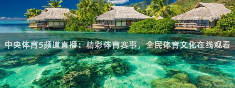 中央体育5频道直播：精彩体育赛事，全民体育文化在线观看