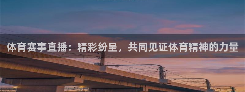 体育赛事直播：精彩纷呈，共同见证体育精神的力量