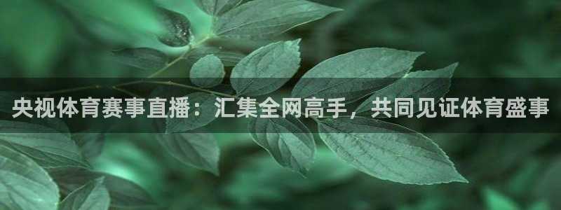 央视体育赛事直播：汇集全网高手，共同见证体育盛事