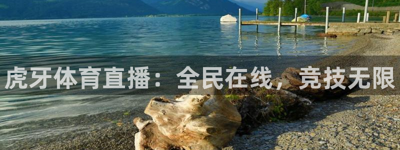 虎牙体育直播：全民在线，竞技无限