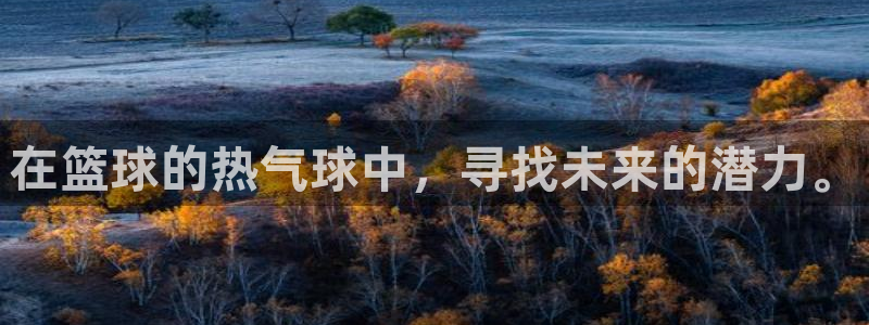 在篮球的热气球中，寻找未来的潜力。