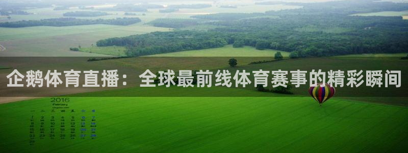 企鹅体育直播：全球最前线体育赛事的精彩瞬间