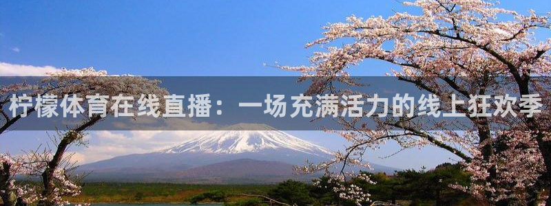 柠檬体育在线直播：一场充满活力的线上狂欢季