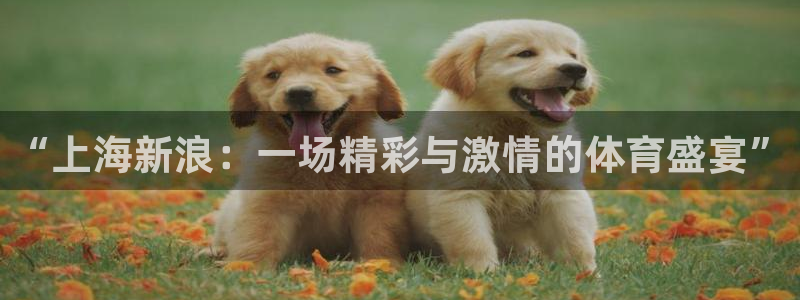 “上海新浪：一场精彩与激情的体育盛宴”