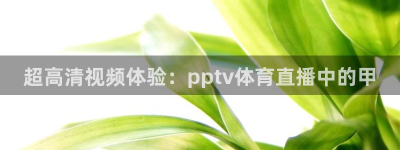 超高清视频体验：pptv体育直播中的甲