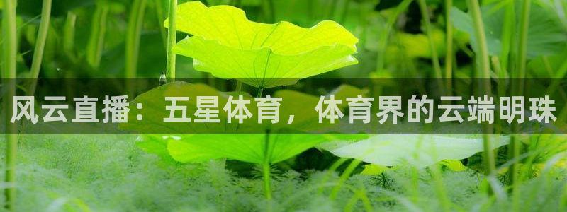 风云直播：五星体育，体育界的云端明珠