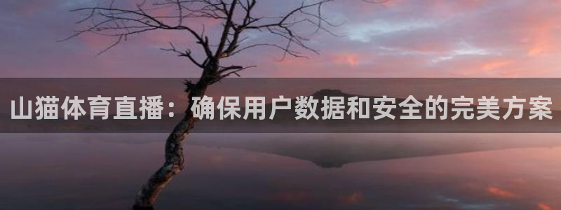 山猫体育直播：确保用户数据和安全的完美方案