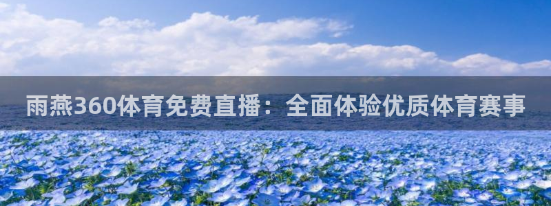 雨燕360体育免费直播：全面体验优质体育赛事