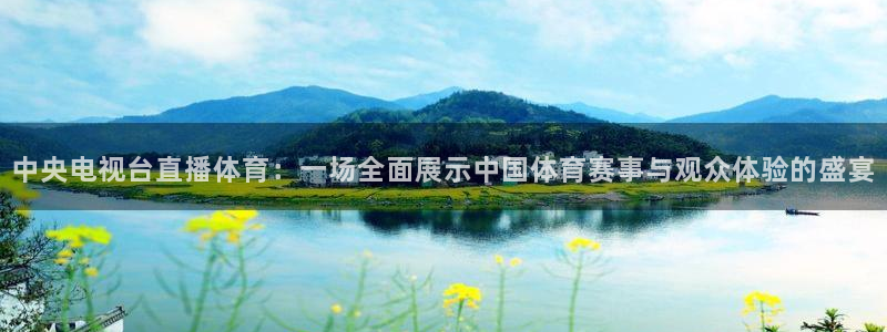 中央电视台直播体育：一场全面展示中国体育赛事与观众体验的盛宴