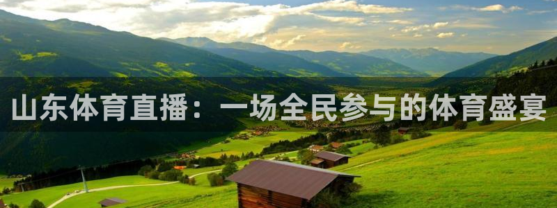 山东体育直播：一场全民参与的体育盛宴