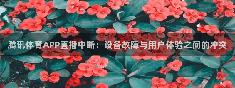 腾讯体育APP直播中断：设备故障与用户体验之间的冲突