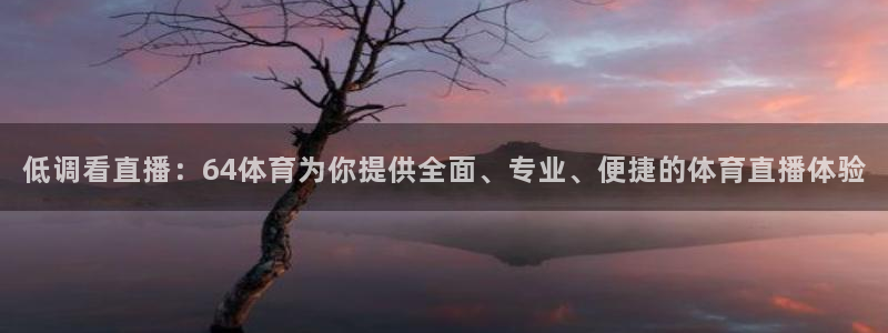 低调看直播：64体育为你提供全面、专业、便捷的体育直播体验