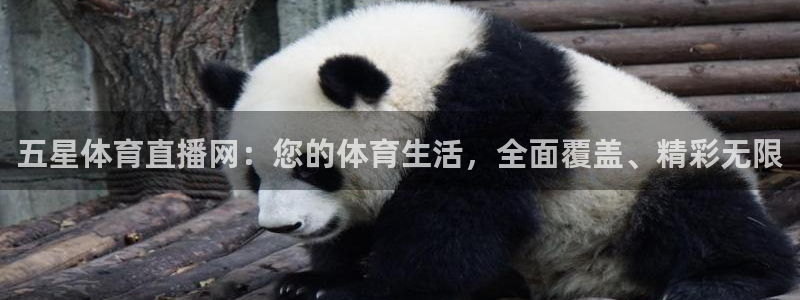 五星体育直播网：您的体育生活，全面覆盖、精彩无限