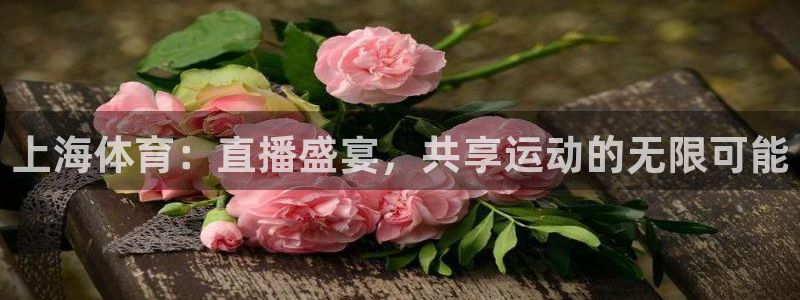 上海体育：直播盛宴，共享运动的无限可能