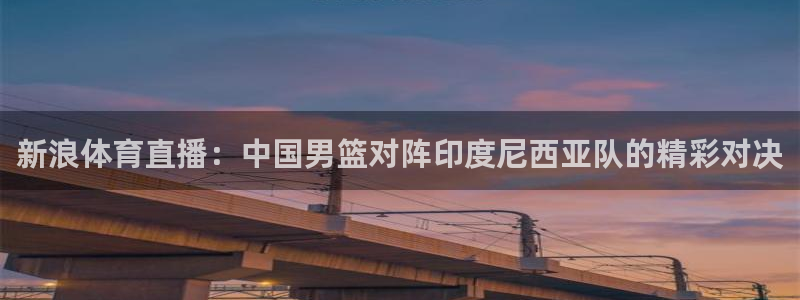 新浪体育直播：中国男篮对阵印度尼西亚队的精彩对决