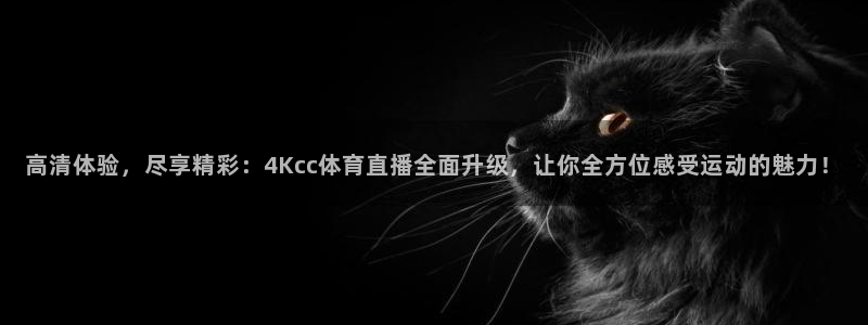 高清体验，尽享精彩：4Kcc体育直播全面升级，让你全方位感受运动的魅力！