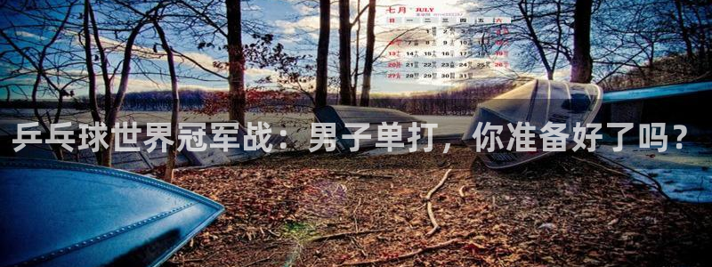 乒乓球世界冠军战：男子单打，你准备好了吗？