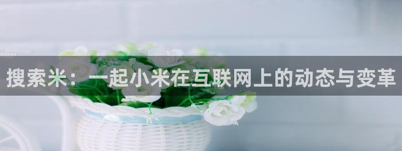 搜索米：一起小米在互联网上的动态与变革