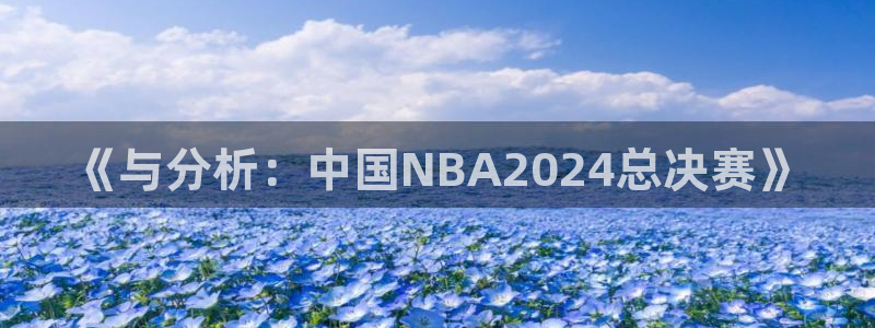 《与分析：中国NBA2024总决赛》