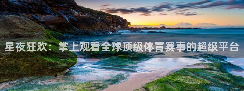 星夜狂欢：掌上观看全球顶级体育赛事的超级平台