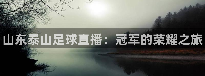 山东泰山足球直播：冠军的荣耀之旅