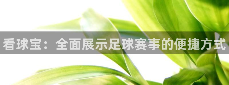 看球宝：全面展示足球赛事的便捷方式