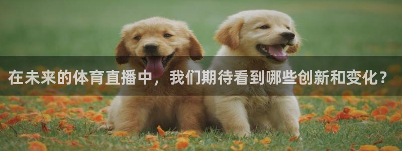 在未来的体育直播中，我们期待看到哪些创新和变化？