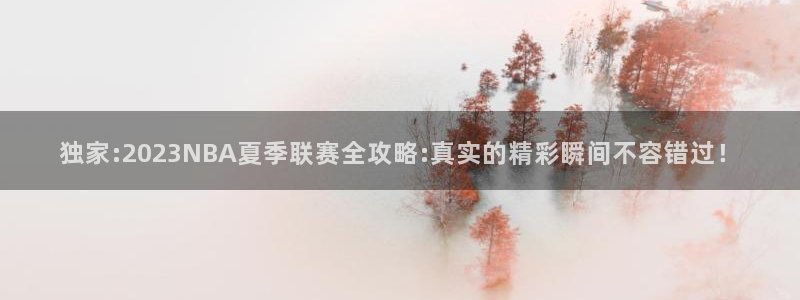 独家:2023NBA夏季联赛全攻略:真实的精彩瞬间不容错过！