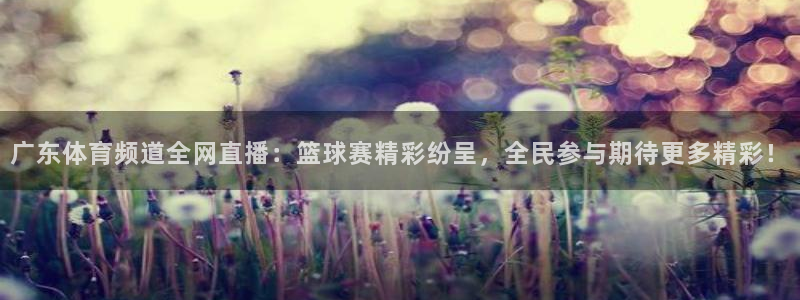 广东体育频道全网直播：篮球赛精彩纷呈，全民参与期待更多精彩！