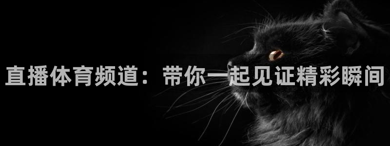 直播体育频道：带你一起见证精彩瞬间