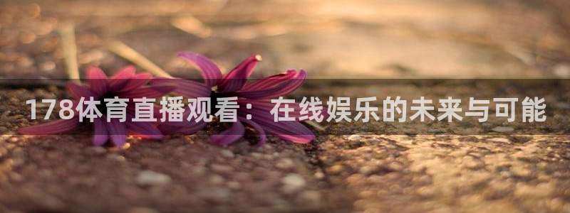 178体育直播观看：在线娱乐的未来与可能