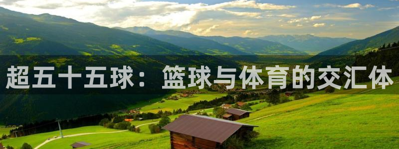 超五十五球：篮球与体育的交汇体