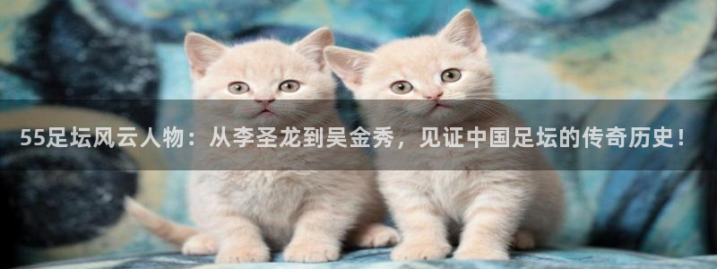 55足坛风云人物：从李圣龙到吴金秀，见证中国足坛的传奇历史！