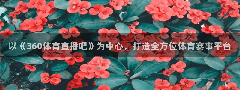 以《360体育直播吧》为中心，打造全方位体育赛事平台