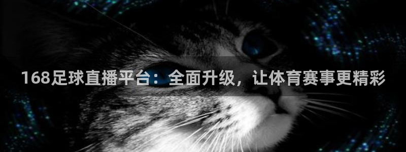 168足球直播平台：全面升级，让体育赛事更精彩