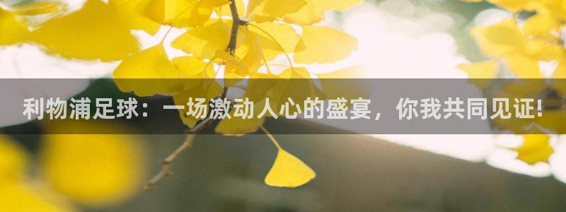 利物浦足球：一场激动人心的盛宴，你我共同见证!