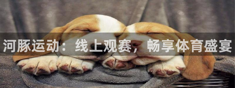 河豚运动：线上观赛，畅享体育盛宴
