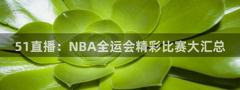 51直播：NBA全运会精彩比赛大汇总