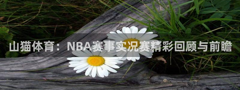 山猫体育：NBA赛事实况赛精彩回顾与前瞻