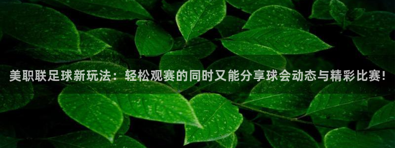 美职联足球新玩法：轻松观赛的同时又能分享球会动态与精彩比赛!