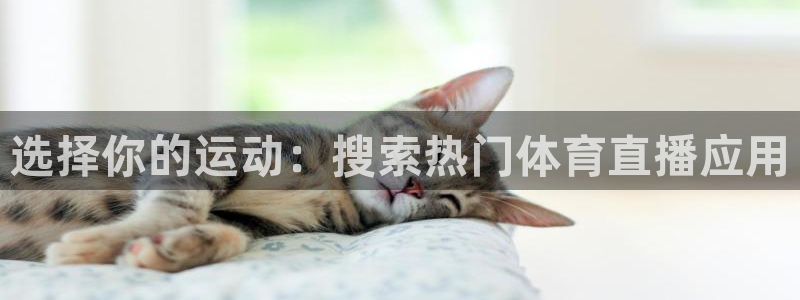 选择你的运动：搜索热门体育直播应用