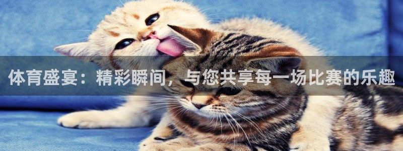 体育盛宴：精彩瞬间，与您共享每一场比赛的乐趣